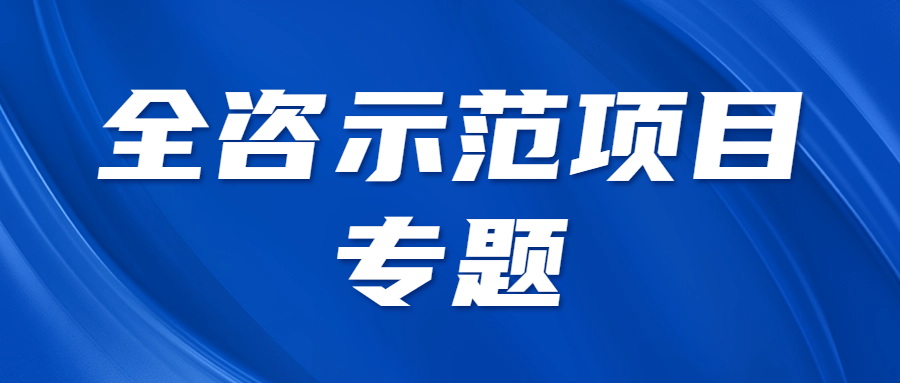 全咨示范项目专题 || 被命名为“双示范项目”的原因
